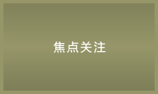 焦点关注