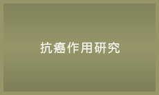 链接区域